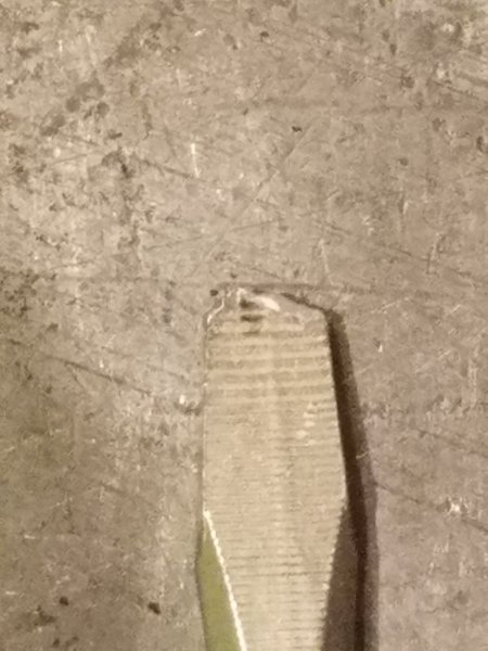 20181009_143925-resized-1024.jpg