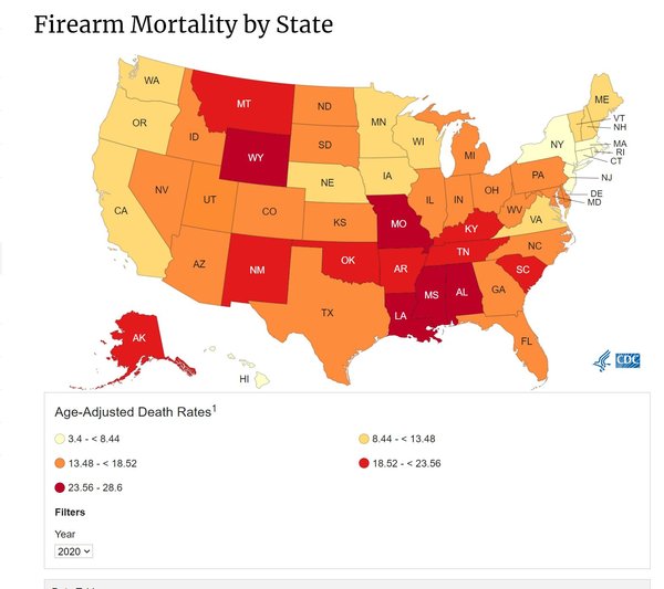 gun deaths.JPG