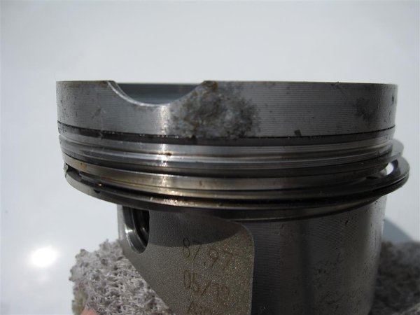 IMG_5618 (Medium).JPG